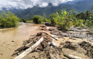 Kondisi desa yang terendam banjir. Sumber: analisadaily.com