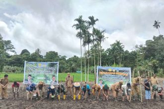 Penjabat Bupati Jayapura, Semuel Siriwa saat melakukan penanaman perdana padi gogo di Kampung Swentab. Sumber ; rri.co.id