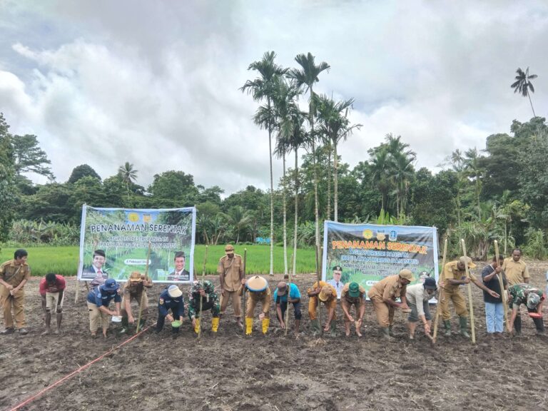 Penjabat Bupati Jayapura, Semuel Siriwa saat melakukan penanaman perdana padi gogo di Kampung Swentab. Sumber ; rri.co.id