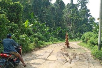 Kondisi jalan Gurua-Trans Lalubi. Sumber ; tribunternate.com