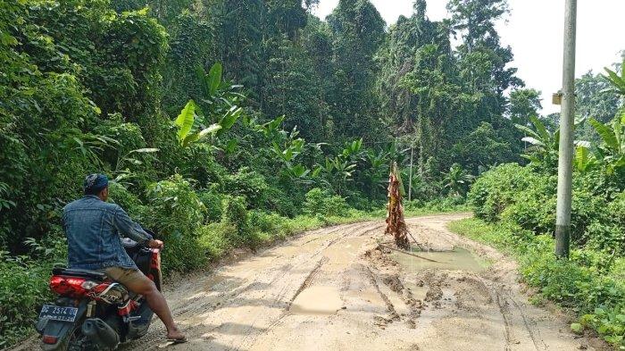 Kondisi jalan Gurua-Trans Lalubi. Sumber ; tribunternate.com