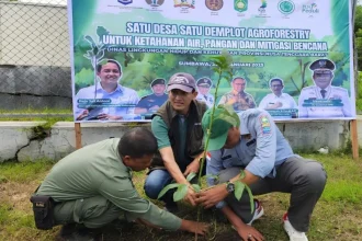 Kepala Dinas LHK NTB Julmansyah (tengah) menanam bibit alpukat pada demplot agroforestri untuk memulihkan lahan dan hutan yang rusak akibat budidaya monokultur jagung di Kabupaten Sumbawa, Nusa Tenggara Barat. Sumber foto : Antara