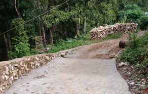 Ilustrasi Jalan Desa Bere. Sumber foto : OkeBajo