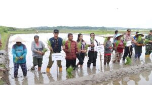 Penjabat Gubernur NTT Andriko Noto Susanto saat melakukan penanaman padi Desa Matasio Kecamatan Rote Timur Kabupaten Rote Ndao. Andriko akan mengakhiri kepemimpinannya di NTT. Sumber foto : Pos-Kupang