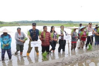 Penjabat Gubernur NTT Andriko Noto Susanto saat melakukan penanaman padi Desa Matasio Kecamatan Rote Timur Kabupaten Rote Ndao. Andriko akan mengakhiri kepemimpinannya di NTT. Sumber foto : Pos-Kupang