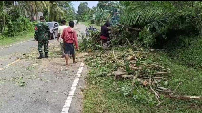 Pembersihan jalan yang tertutup pohon tumbang di Desa Kasoloang. Sumber: tribun-sulbar.com