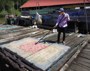 Nelayan Menjemur Ikan untuk Bahan Pembuatan Terasi. Sumber: Dokumentasi Alimuddin