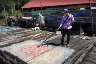 Nelayan Menjemur Ikan untuk Bahan Pembuatan Terasi. Sumber: Dokumentasi Alimuddin