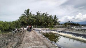 Lokasi tambak udang di Desa Lalombi. Sumber: Tempo.co