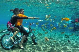 Wisata dalam air Umbul Ponggok di Desa Ponggok, Kabupaten Klaten, Jawa Tengah. Sumber: Trip Advisor