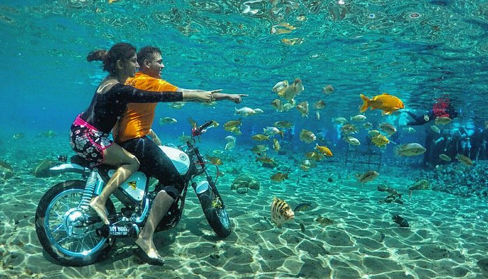 Wisata dalam air Umbul Ponggok di Desa Ponggok, Kabupaten Klaten, Jawa Tengah. Sumber: Trip Advisor