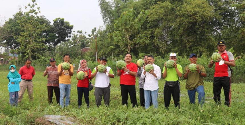 Wisata petik Semangka bersama Bupati Blora Sumberfoto: X@masariefrohman